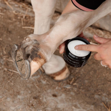Crema antiparasitaria para caballos | Cuidado equino