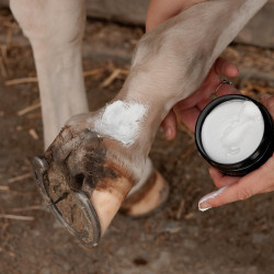 Crema antiparasitaria para caballos | Cuidado equino