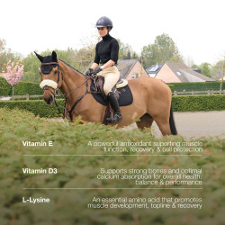 Suplemento vitamínico para caballos en competición