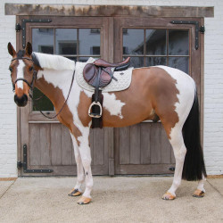 Manta de Montura Kentucky Melange Jumping Beige