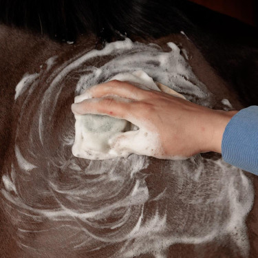 Champú Sólido Grooming Deluxe by Kentucky Própolis Multicolor