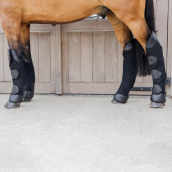 Protectores de transporte caballo delanteros 3D Spacer Kentucky | Equi-Clic