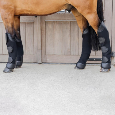 Protectores de transporte caballo delanteros 3D Spacer Kentucky | Equi-Clic