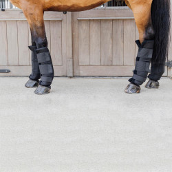 Protectores traseros para cuadra y transporte caballo Protectores traseros para cuadra y transporte caballo