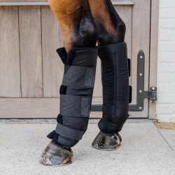 Protectores traseros para cuadra y transporte caballo Protectores traseros para cuadra y transporte caballo