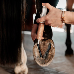 Pasta para ranilla de caballo con zinc - Kentucky