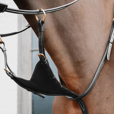 Martingala de equitación Dy'on de cuero premium