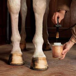 Aceite para Pies Shine Grooming Deluxe by Kentucky Natural Marr&amp;amp;amp;oacute;n