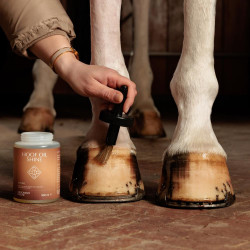 Aceite para Pies Shine Grooming Deluxe by Kentucky Natural Marr&amp;amp;amp;oacute;n