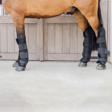 Botas protectoras delanteras largas Stable PROtect Kentucky Negro