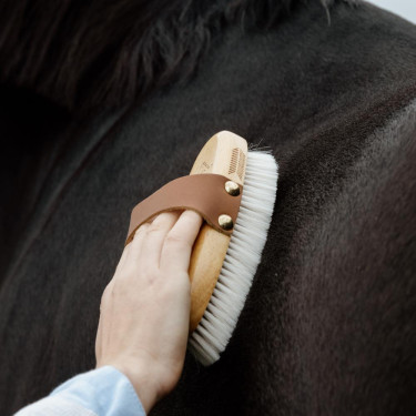 Cepillo equitación suave para caballos delicados