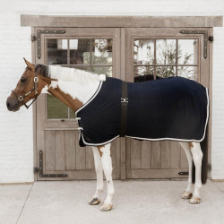 Cincha elástica para mantas de caballo Kentucky