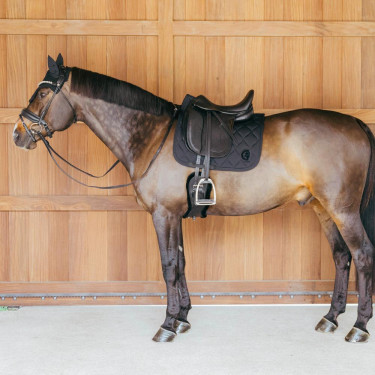 Manta de doma Kentucky Wave Negro