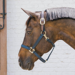 Cabezada de equitación Breakaway Kentucky segura