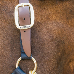 Cabezada de equitación Breakaway Kentucky segura