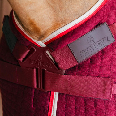 Manta de secado para caballo Kentucky PROtherm Manta de secado para caballo Kentucky PROtherm