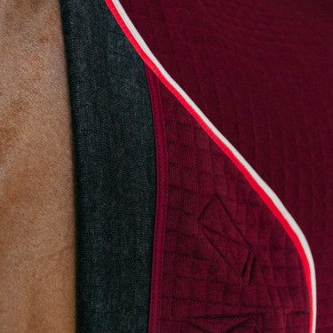 Manta de secado para caballo Kentucky PROtherm Manta de secado para caballo Kentucky PROtherm