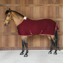 Manta de secado para caballo Kentucky PROtherm Manta de secado para caballo Kentucky PROtherm