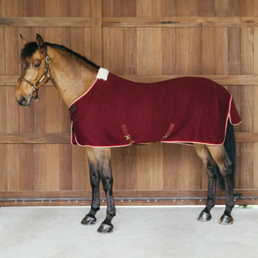 Manta de secado para caballo Kentucky PROtherm Manta de secado para caballo Kentucky PROtherm