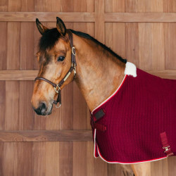 Manta de secado para caballo Kentucky PROtherm Manta de secado para caballo Kentucky PROtherm