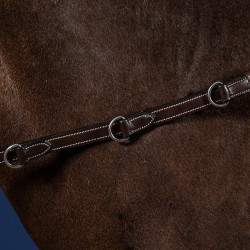 Riendas de equitación Dy'on Howlett 3 “D” de goma