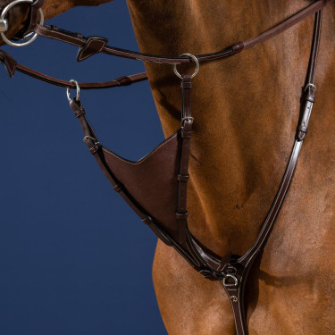 Horquilla de Martingala Completa Flexible Dy'on US Jumping Castaño Marrón Horquilla de Martingala Completa Flexible Dy'on US Jumping Castaño Marrón