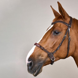 Brida sin bocado para equitación natural Dy'on