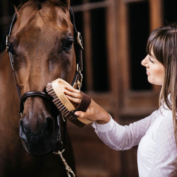 Cepillo suave con cerdas suaves Grooming Deluxe by Kentucky Marrón Marr&amp;amp;amp;oacute;n