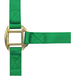 Cabezada de nylon forrada de cuero Verde claro