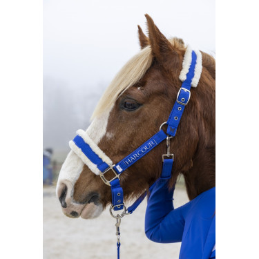 Cabezada de equitación Harcour Teschic edición limitada