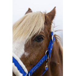 Cabezada de equitación Harcour Teschic edición limitada