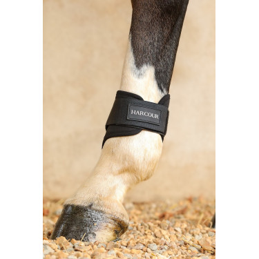 Protectores de menudillo equitación Harcour Protectores de menudillo equitación Harcour