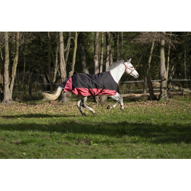 Manta Equi-Theme Tyrex 1200 D Manta Equi-Theme Tyrex 1200 D