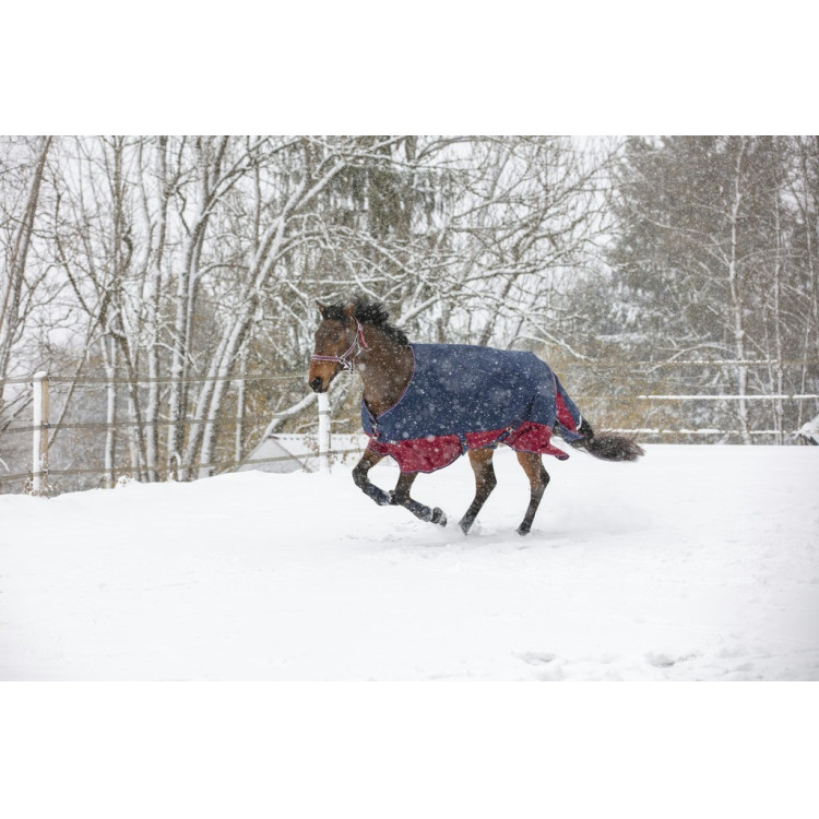 Manta Equi-Theme Tyrex 1200 D Manta Equi-Theme Tyrex 1200 D