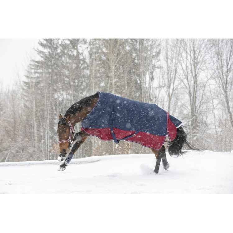 Manta Equi-Theme Tyrex 1200 D Manta Equi-Theme Tyrex 1200 D