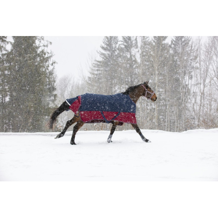 Manta Equi-Theme Tyrex 1200 D Manta Equi-Theme Tyrex 1200 D