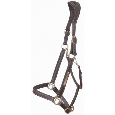 Cabezada De Cuero Placa Anatómica Para La Cabeza T de T Marrón oscuro