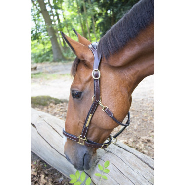 Cabezada De Cuero Placa Anatómica Para La Cabeza T de T Marrón oscuro