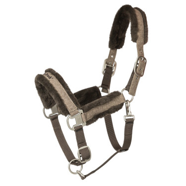 Cabezada de cuadra Back on Track Haze Collection Castaño Marrón