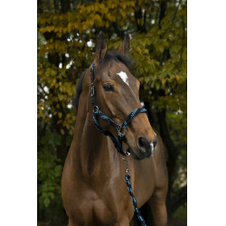 Cabezada de cuadra + ramal Equitheme Tressé Cabezada de cuadra + ramal Equitheme Tressé