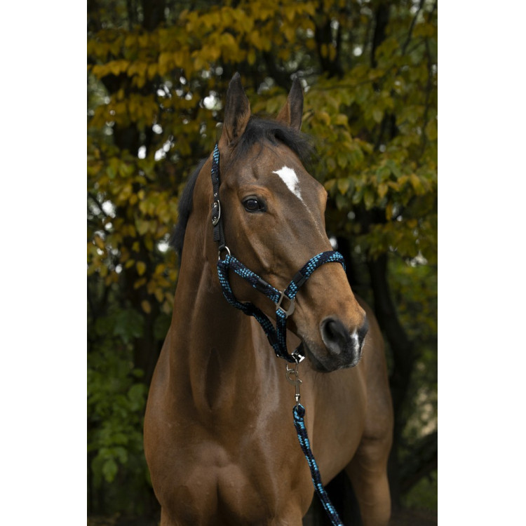 Cabezada de cuadra + ramal Equitheme Tressé Cabezada de cuadra + ramal Equitheme Tressé