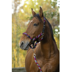 Cabezada de cuadra + ramal Equitheme Tressé Cabezada de cuadra + ramal Equitheme Tressé
