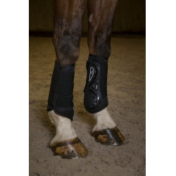 Protectores cerrados Norton XTR Protectores cerrados Norton XTR