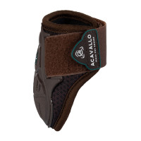 Paratendidos Skeleton Dynamic Zone