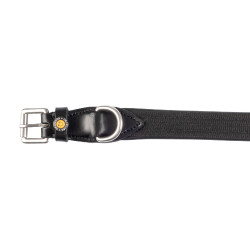 Collar para perros de cordura