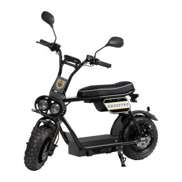 Scooter eléctrico E-one 1000W