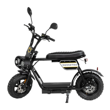 Scooter eléctrico E-one 1000W