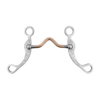 Morsillo Correcional Inox Asta Decorada Pool's