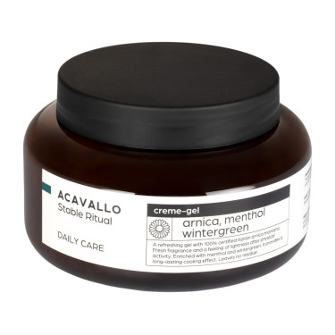 Arnica 90 con mentol 500 ml