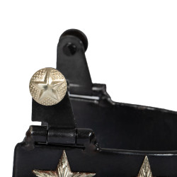 Espuelas Western bruñidas 6 estrellas